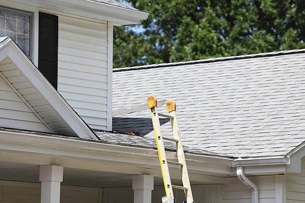 Siding Removal and Disposal in Presquille, LA