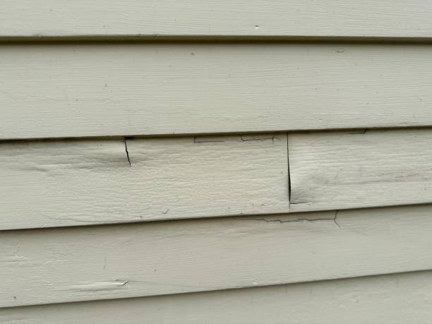 Professional Siding Installation & Repair in Presquille, LA